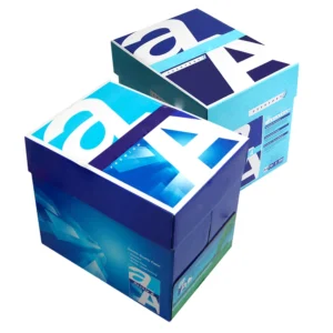 Goodweek A4 Paper Premium White 80gms